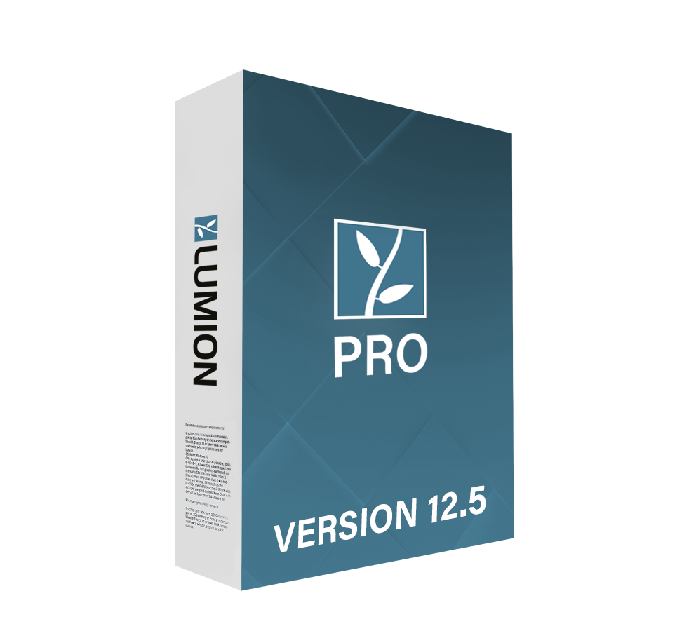 Lumion Online Private Lesson