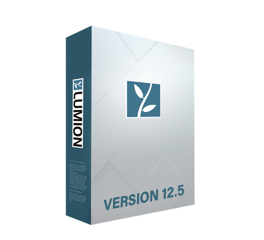 Lumion Online Private Lesson