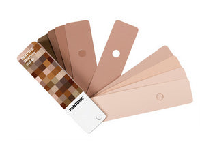 PANTONE パントン 色見本 STG201 SkinTone Guide パントン・スキン