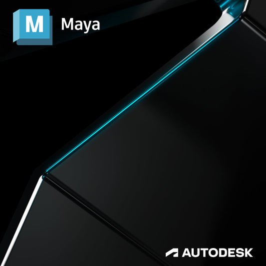 Maya 2024 | シングルユーザー